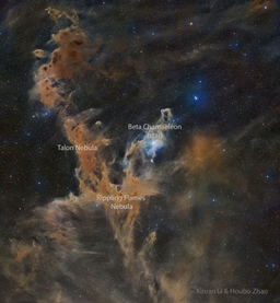 Chamaeleon Dark Nebulas