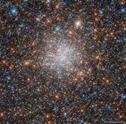 NGC 1898: Globular Cluster in the Large Magellanic Cloud