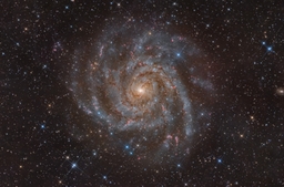 IC 342: Hidden Galaxy in Camelopardalis