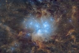 Pleiades: The Seven Sisters Star Cluster