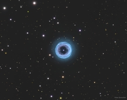 Shapley 1: An Annular Planetary Nebula