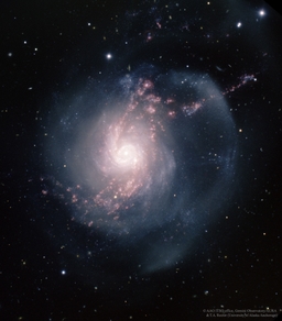 NGC 3310: A Starburst Spiral Galaxy