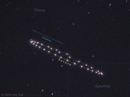 The Retrograde Dance of Saturn and Neptune
