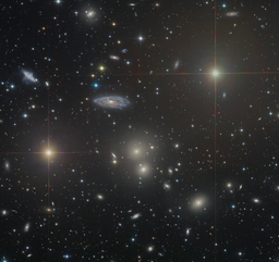 The Hydra Cluster of Galaxies