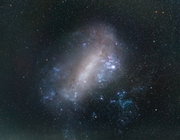 The Large Magellanic Cloud