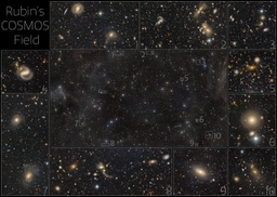 Rubin's COSMOS field