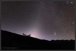 A Zodiacal Night