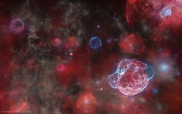 The Ghosts of Five Supernovas