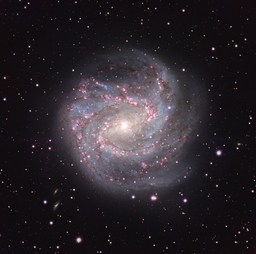 M83: The Southern Pinwheel