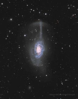 NGC 4651: The Umbrella Galaxy