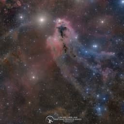 LDN 1622: Dark Nebula in Orion