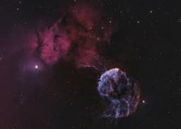 Sharpless 249 and the Jellyfish Nebula