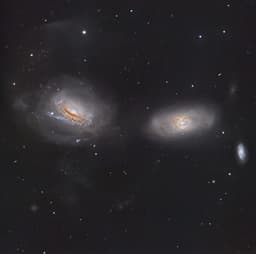 Unraveling NGC 3169