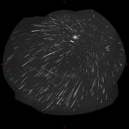 Mostly Perseids