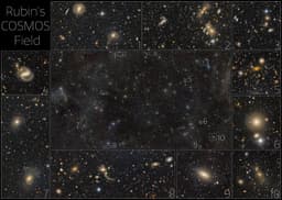 Rubin's COSMOS field