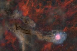 Cocoon Nebula Wide Field