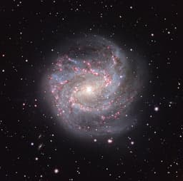 M83: The Southern Pinwheel