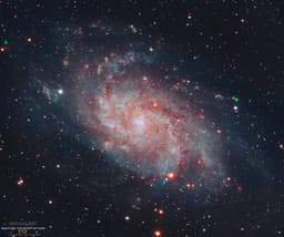 Messier 33: The Triangulum Galaxy