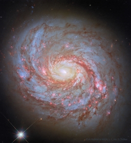 M77: Spiral Galaxy with an Active Center