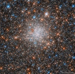 NGC 1898: Globular Cluster in the Large Magellanic Cloud