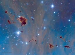 Thackeray's Globules