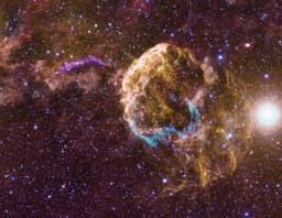 Sibling Supernova Remnants
