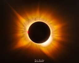 A Golden Corona Eclipse
