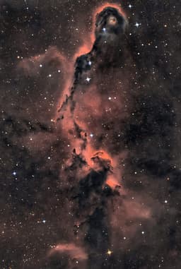 The Elephant's Trunk in Cepheus