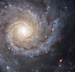 M74: A Grand Design Spiral
