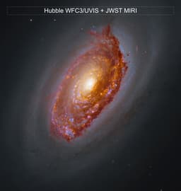 Webb's View of M64
